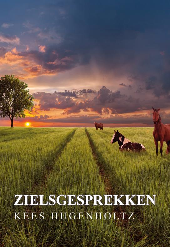Omslag van Zielsgesprekken