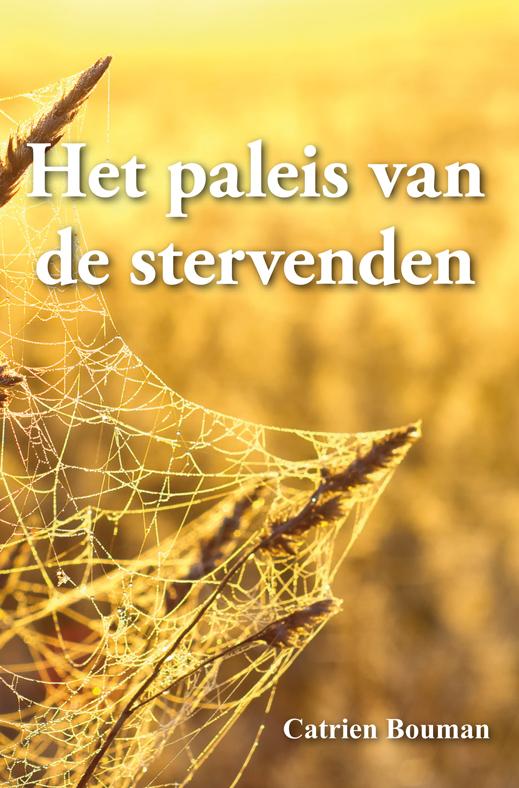 Omslag van Het paleis van de stervenden