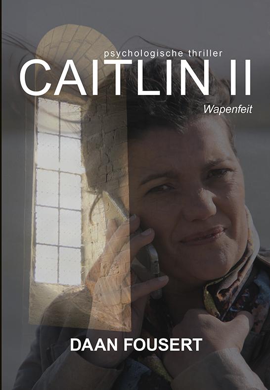 Omslag van Wapenfeit
