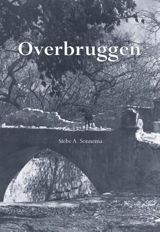 Omslag van Overbruggen