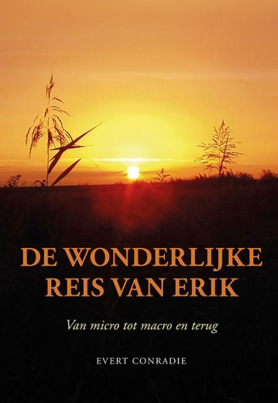 Omslag van De wonderlijke reis van Erik