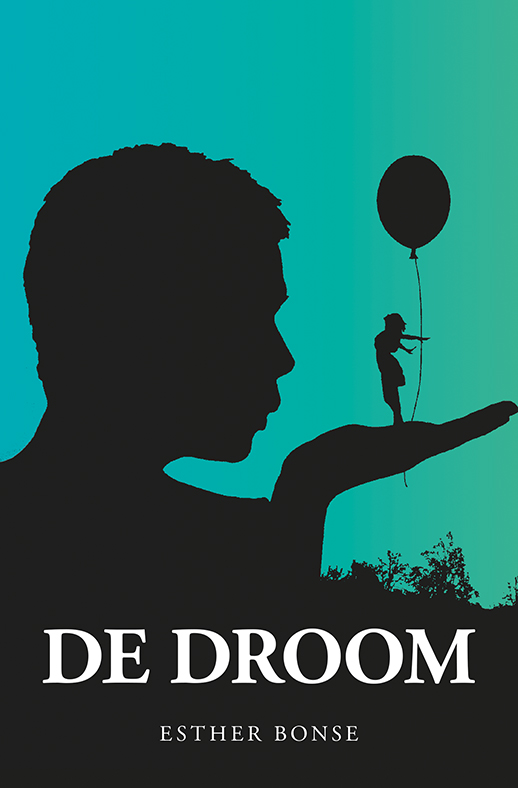 Omslag van De droom