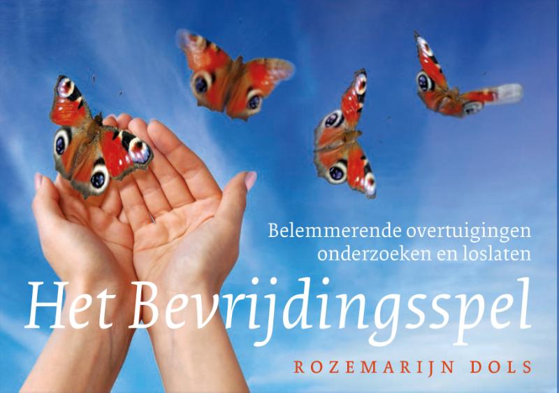 Omslag van Het bevrijdingsspel