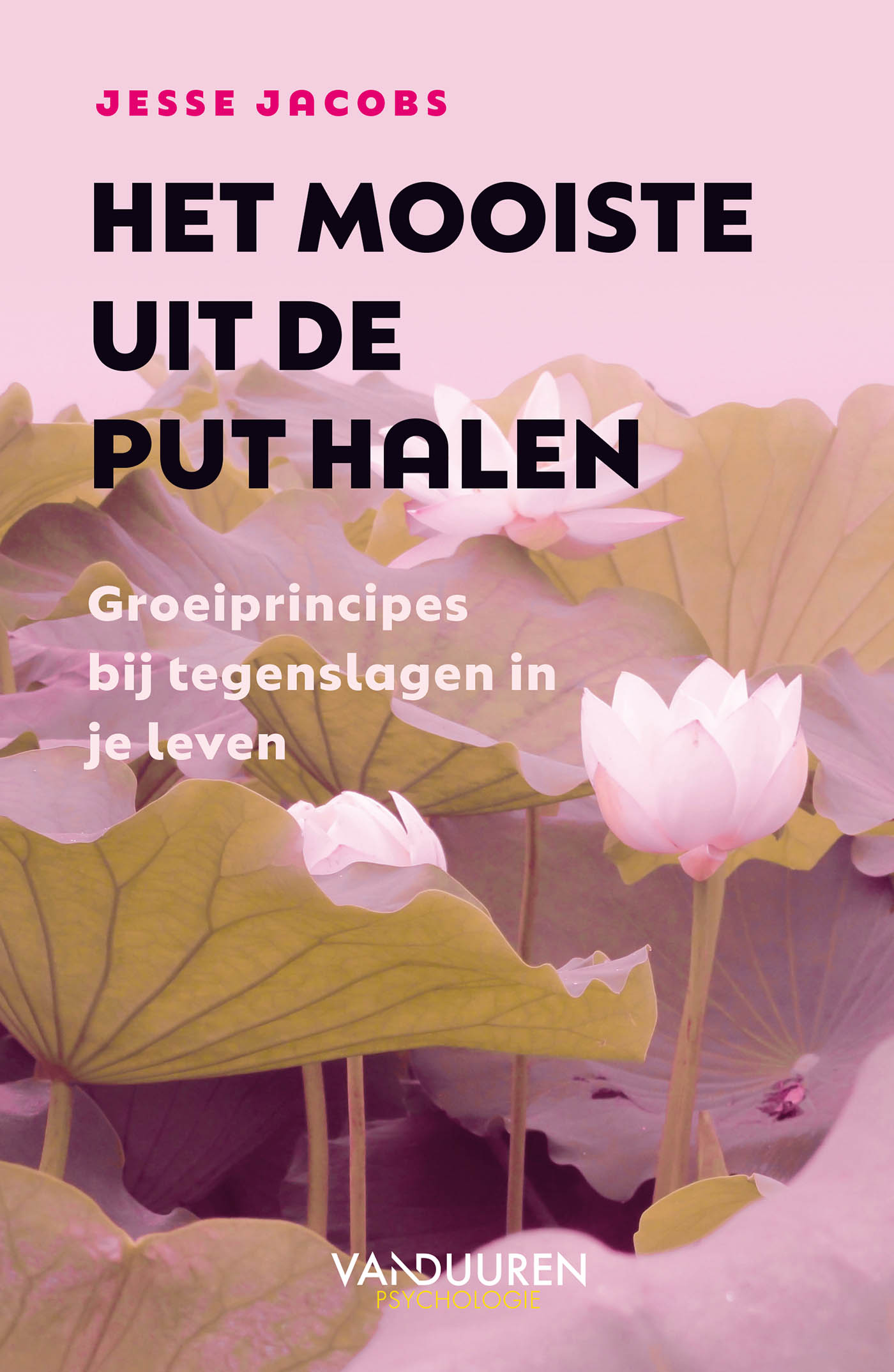 Omslag van Het mooiste uit de put halen
