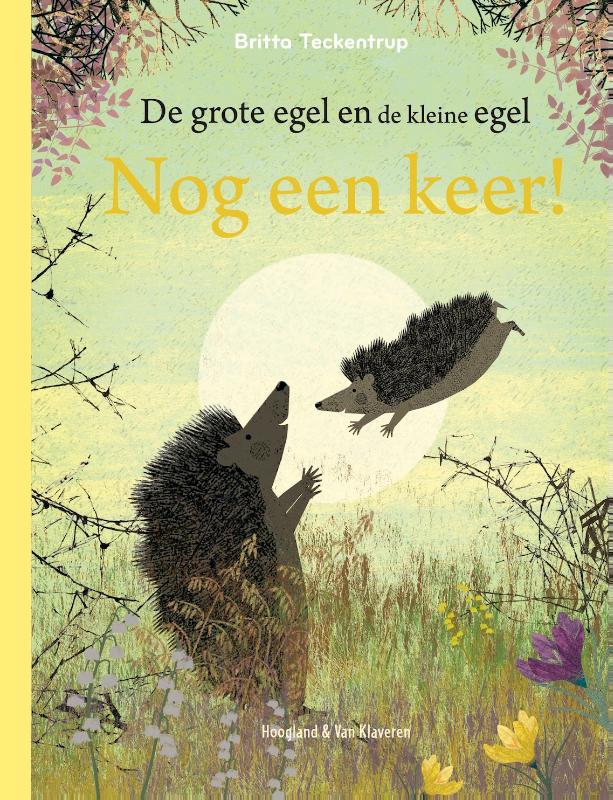 Omslag van Nog een keer
