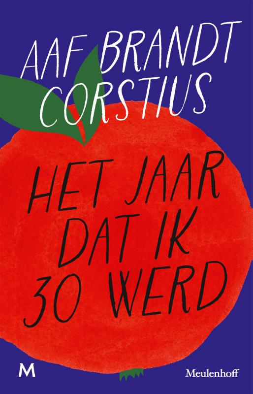 Omslag van Het jaar dat ik 30 werd