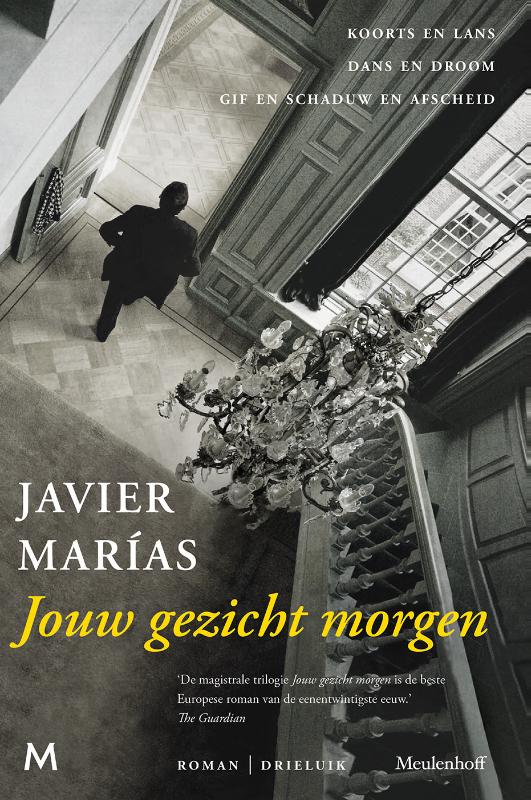 Omslag van Jouw gezicht morgen