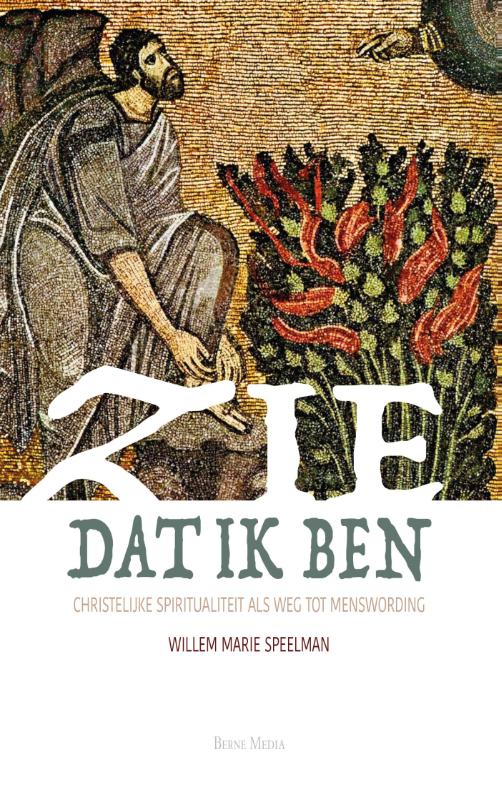 Omslag van Zie dat ik ben