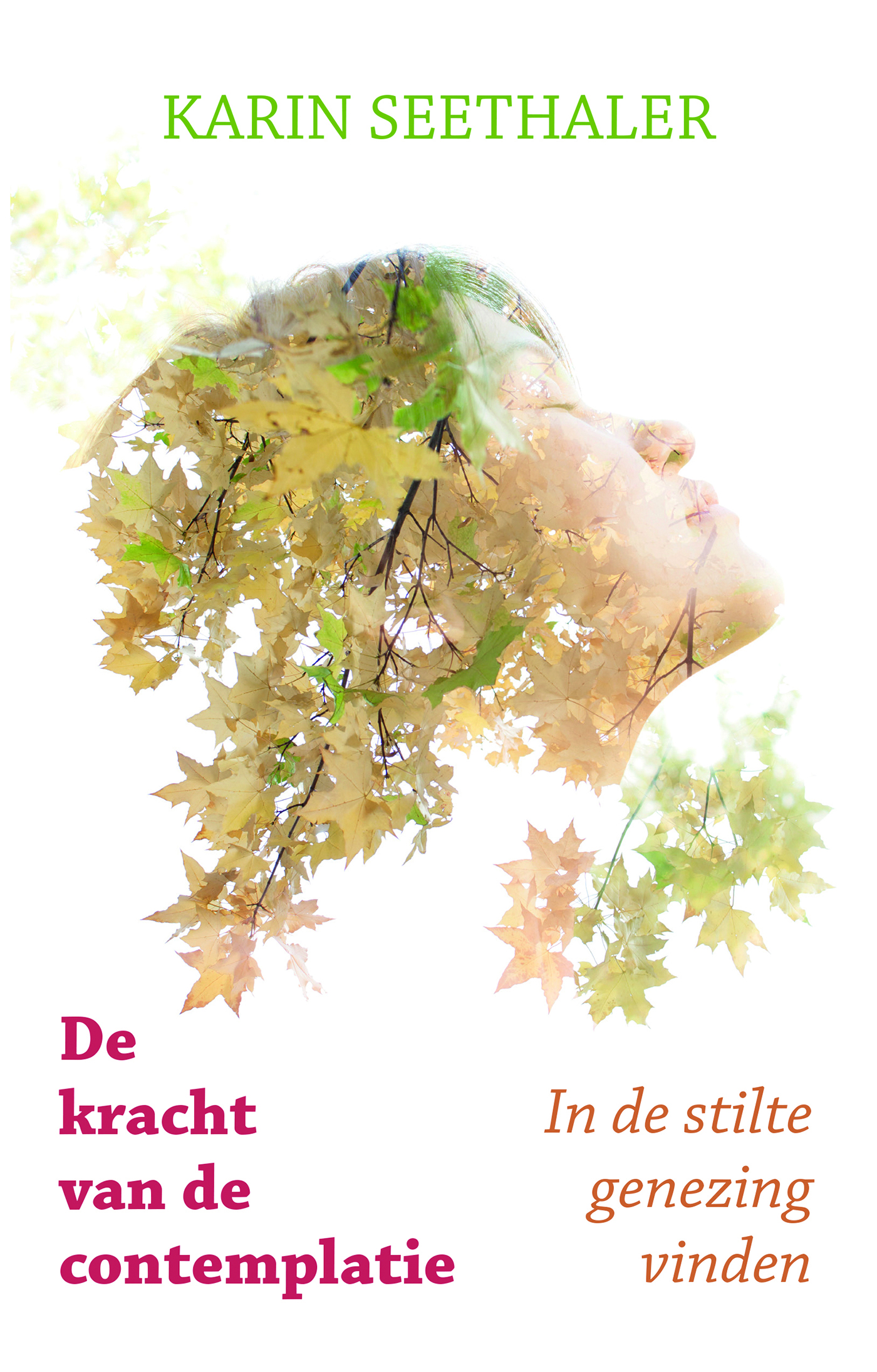 Omslag van De kracht van de contemplatie