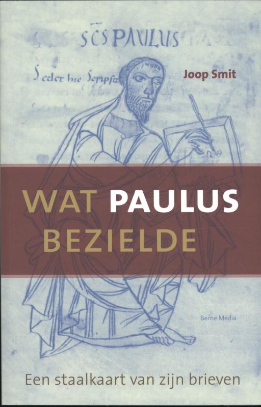 Omslag van Wat Paulus bezielde