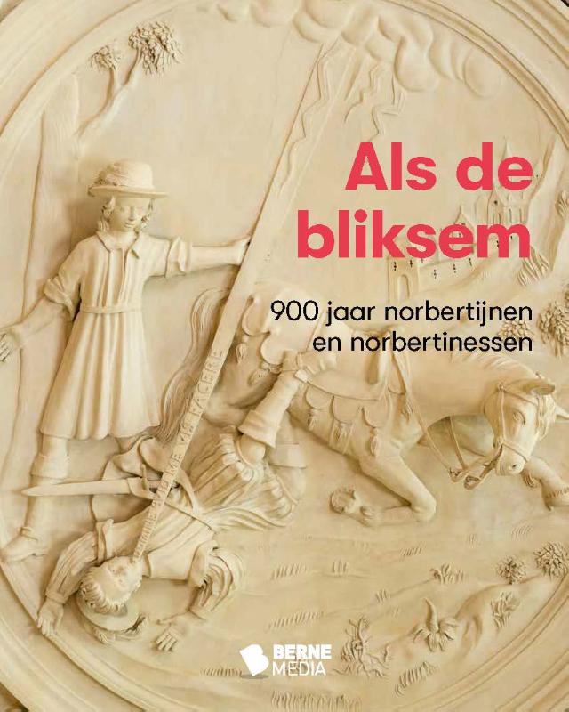 Omslag van Als de bliksem