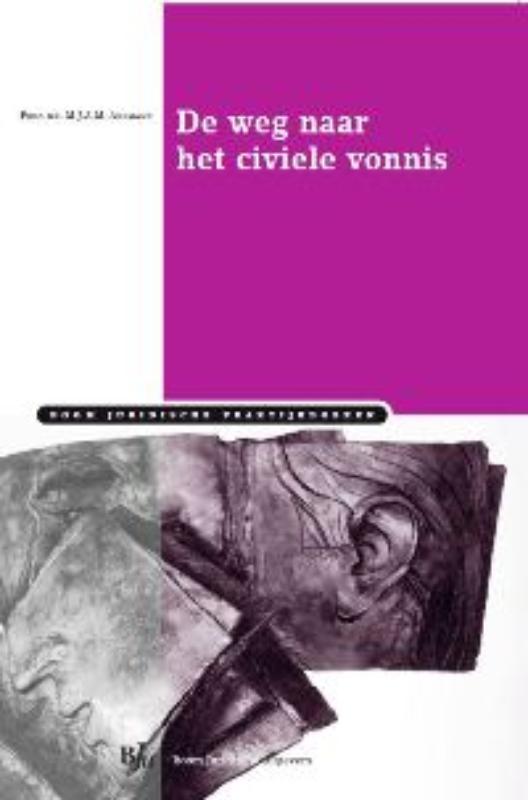 Omslag van De weg naar het civiele vonnis
