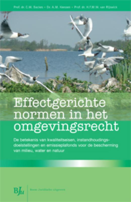 Omslag van Effectgerichte normen in het omgevingsrecht