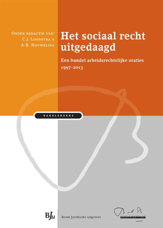 Omslag van Het sociaal recht uitgedaagd
