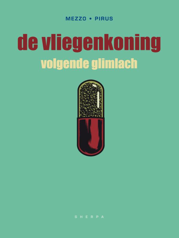 Omslag van Vvolgende glimlach