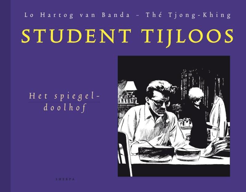Omslag van Het spiegeldoolhof
