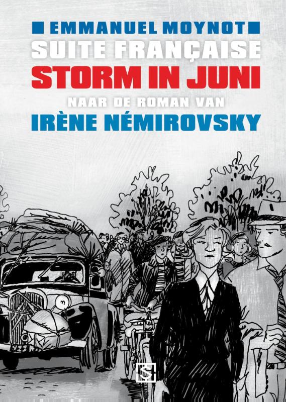 Omslag van Storm in juni