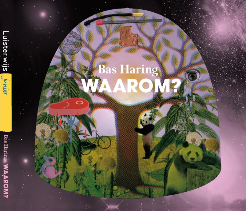 Omslag van Waarom?