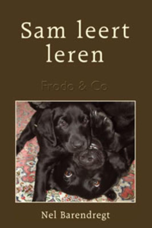 Omslag van Sam leert leren