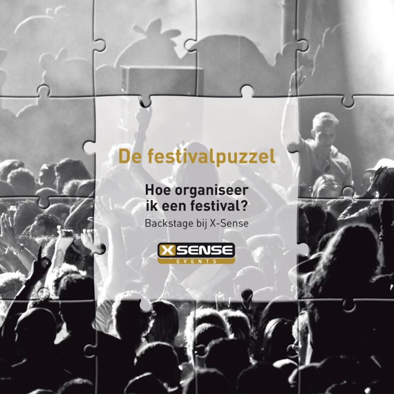Omslag van De festivalpuzzel