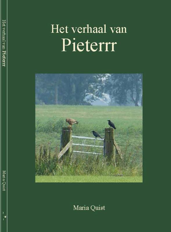 Omslag van Het verhaal van Pieterrr