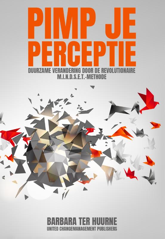Omslag van Pimp je perceptie