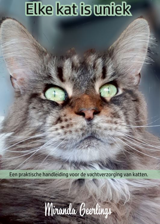 Omslag van Elke kat is uniek