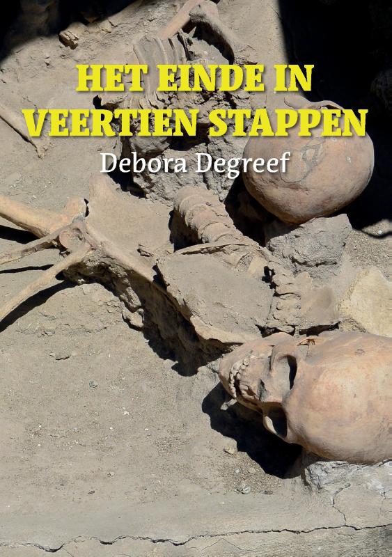 Omslag van Het einde in veertien stappen