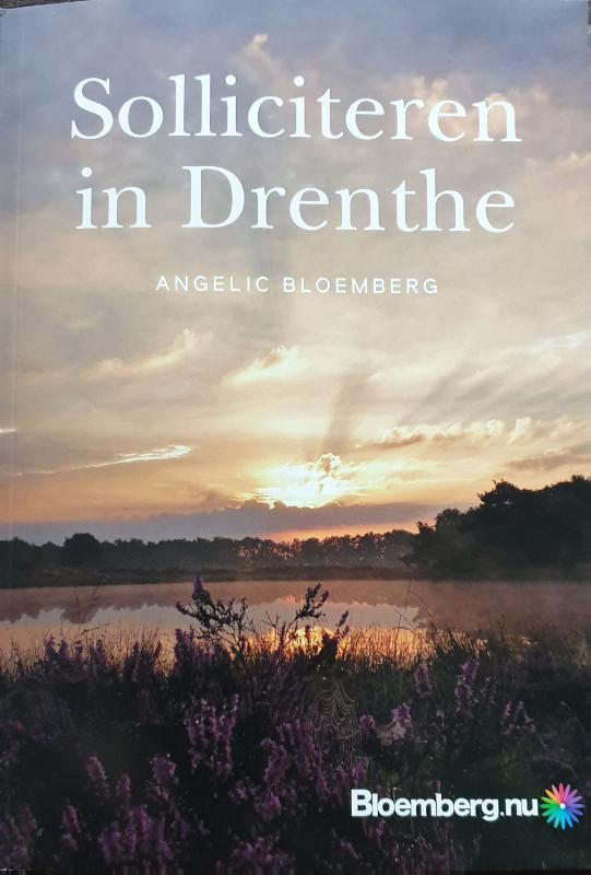 Omslag van Solliciteren in Drenthe
