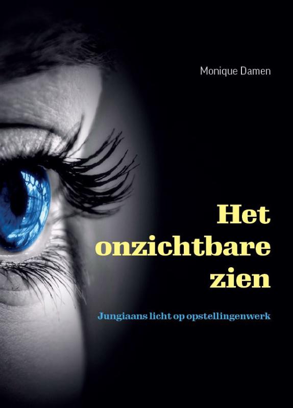 Omslag van Het onzichtbare zien