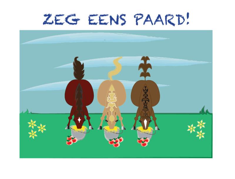 Omslag van Zeg eens paard!