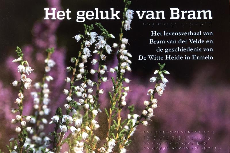 Omslag van Het geluk van Bram