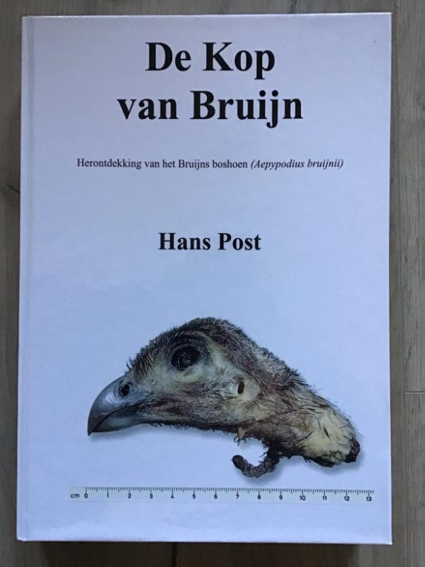 Omslag van De Kop van Bruijn
