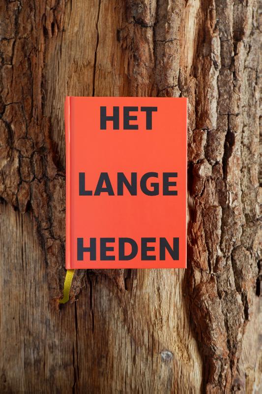 Omslag van Het Lange Heden