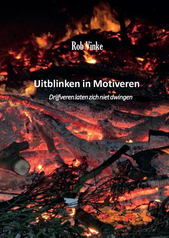 Omslag van Uitblinken in Motiveren