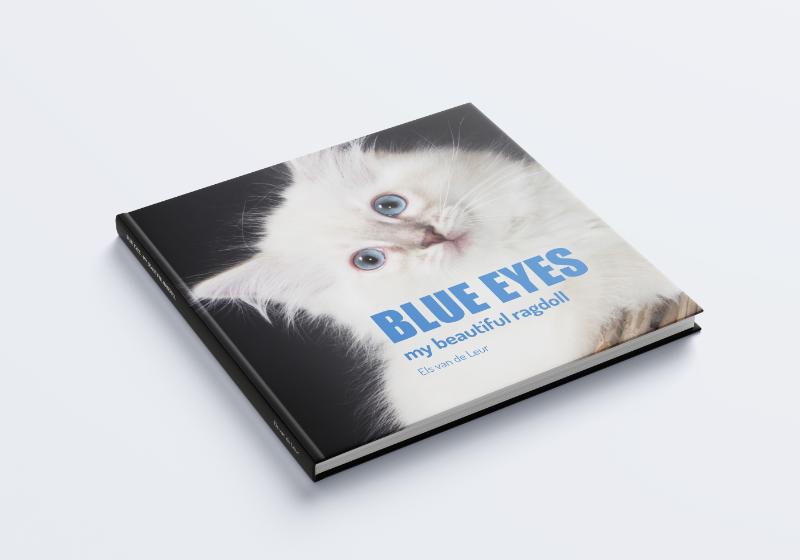 Omslag van Blue Eyes my beautiful Ragdoll
