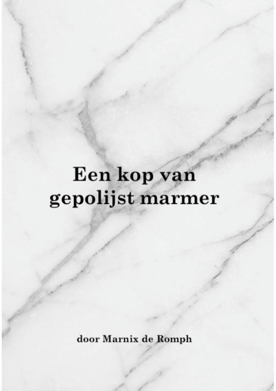 Omslag van Een kop van gepolijst marmer