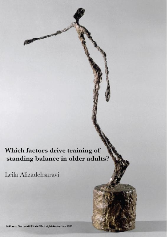 Omslag van Which factors drive training of standing balance in older adults?