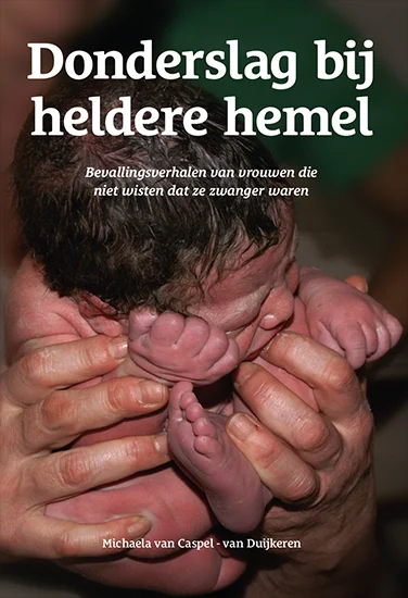 Omslag van Donderslag bij heldere hemel
