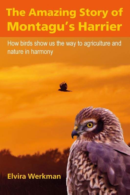 Omslag van The Amazing Story of Montagu's Harrier