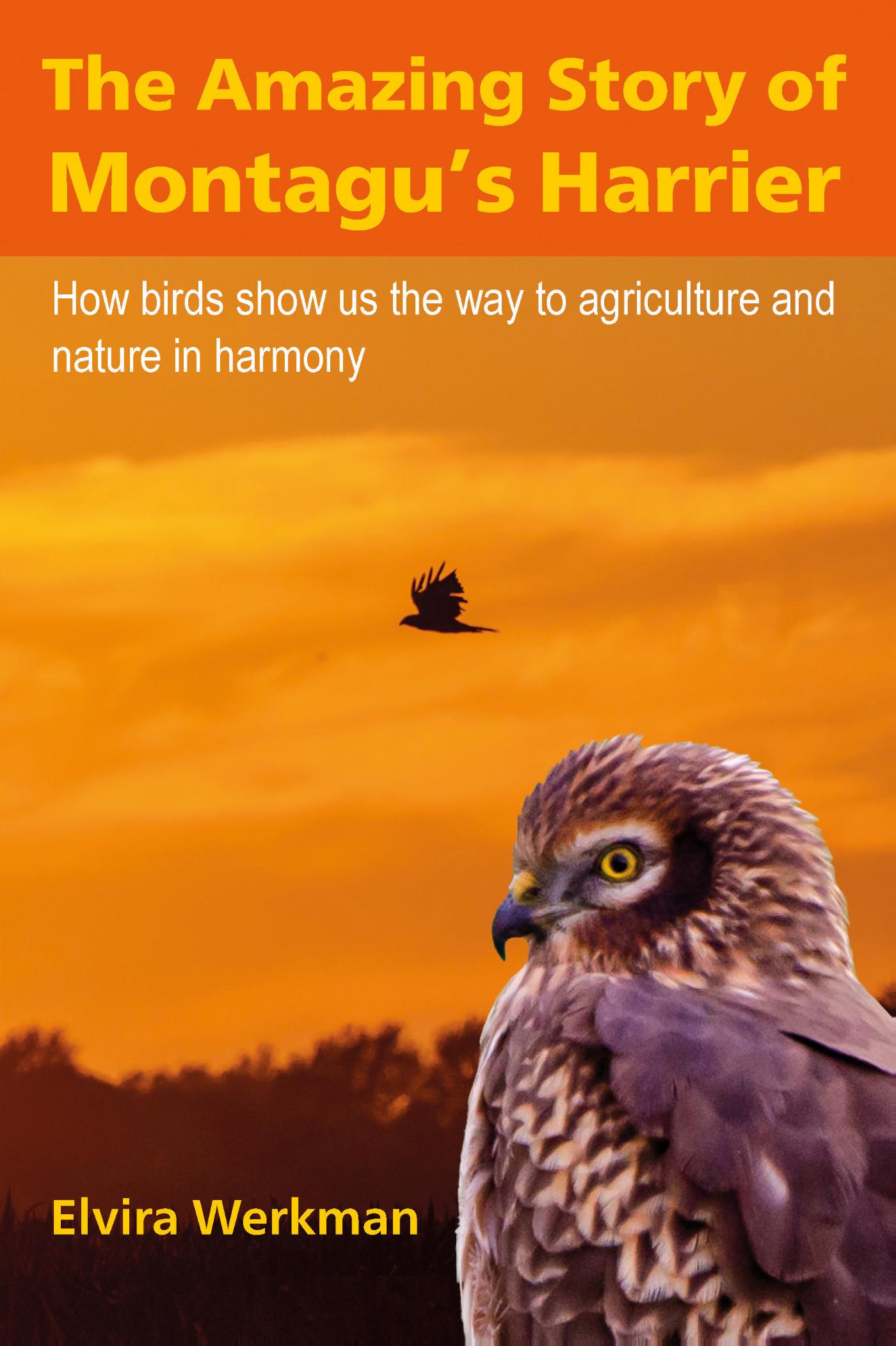 Omslag van The Amazing Story of Montagu's Harrier