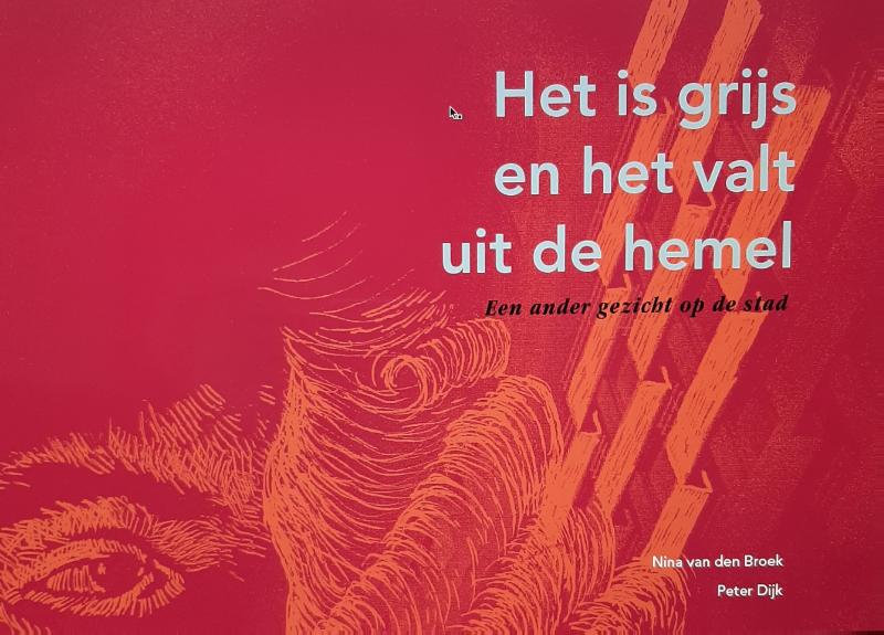 Omslag van Het is grijs en het valt uit de hemel
