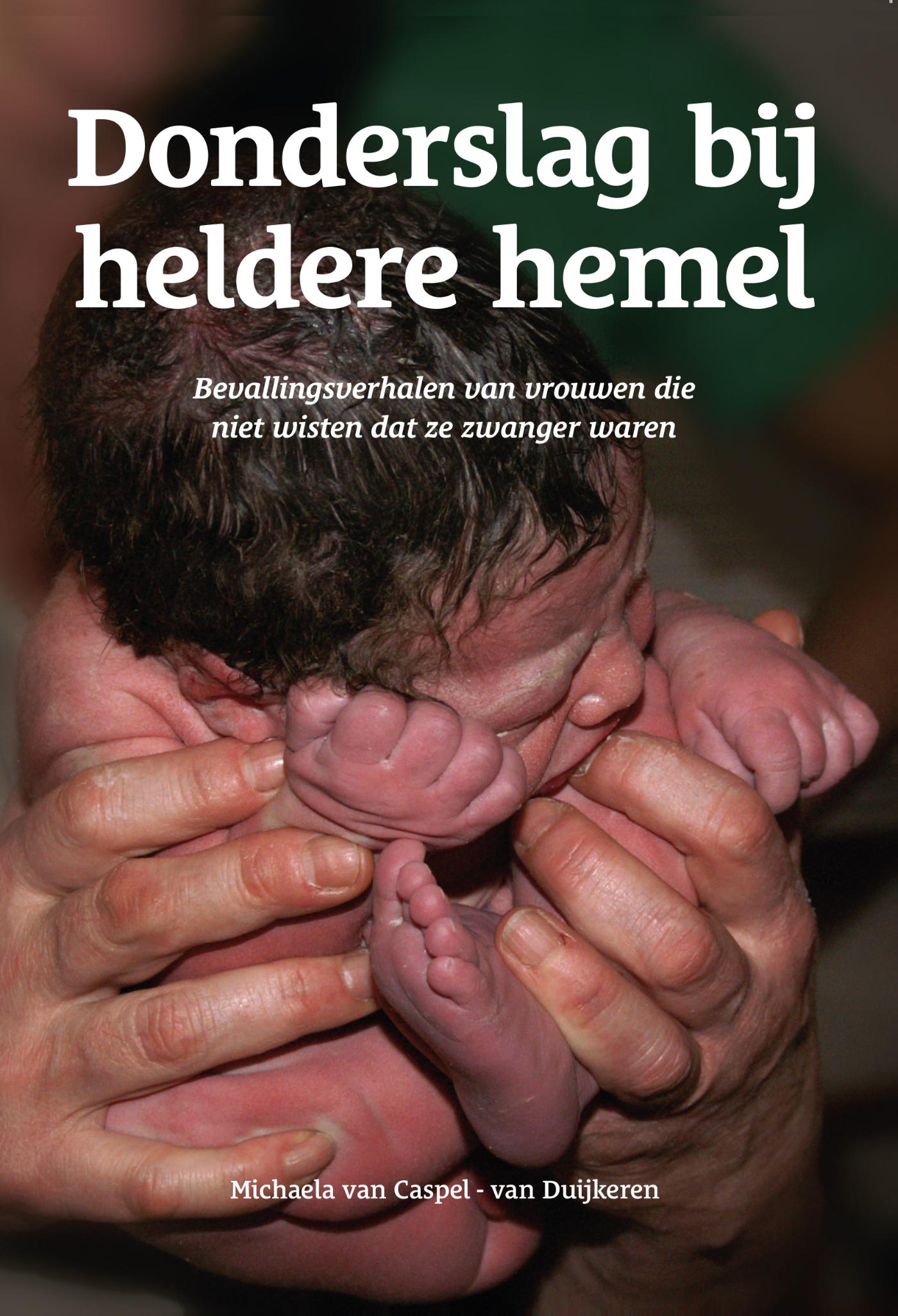 Omslag van Donderslag bij heldere hemel ebook