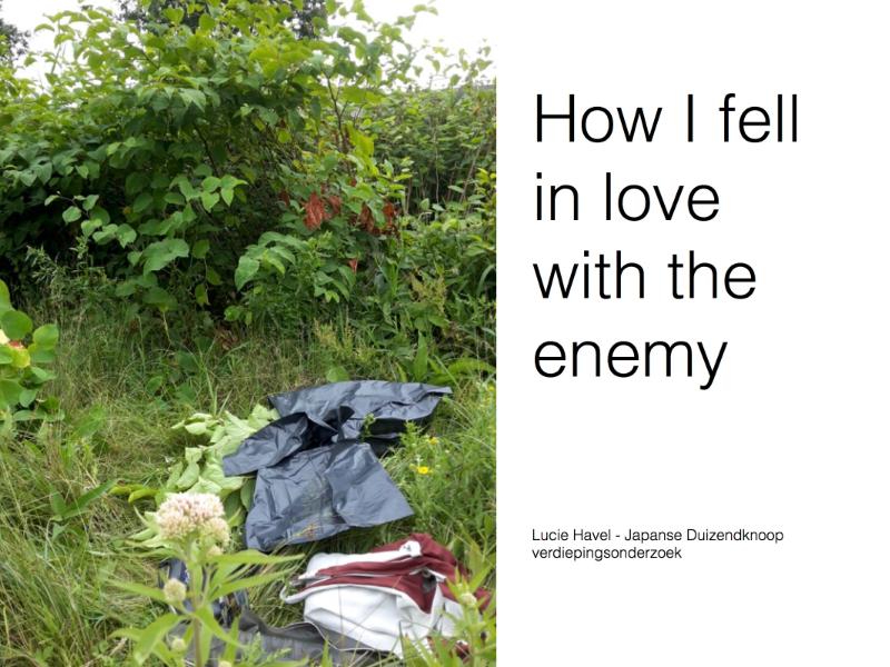Omslag van How I fell in love with the enemy