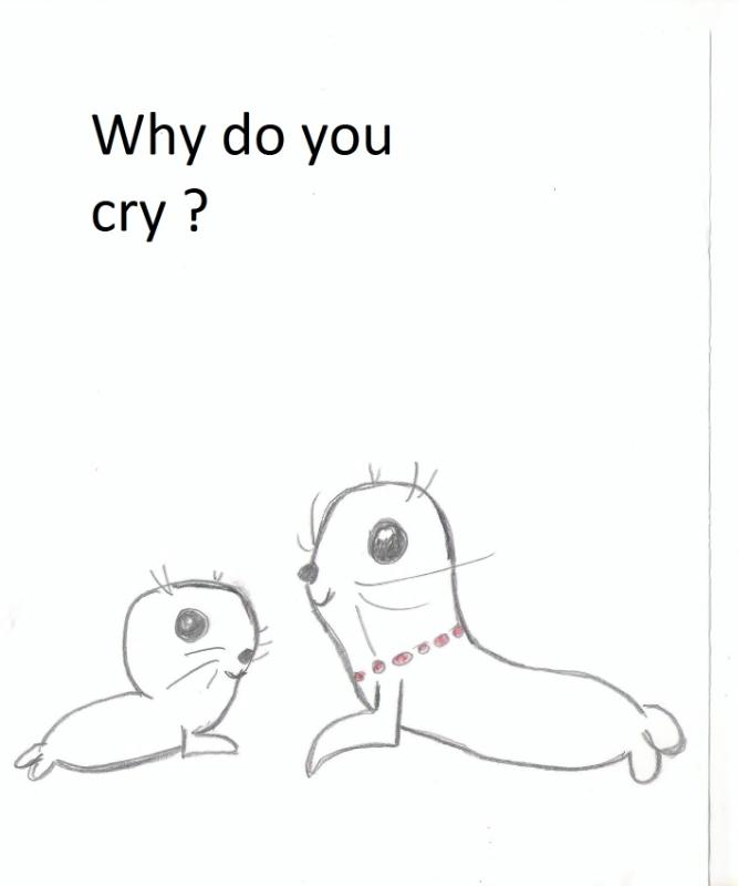 Omslag van Why do you cry ?