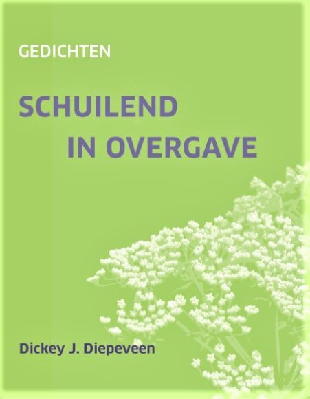 Omslag van Schuilend in overgave
