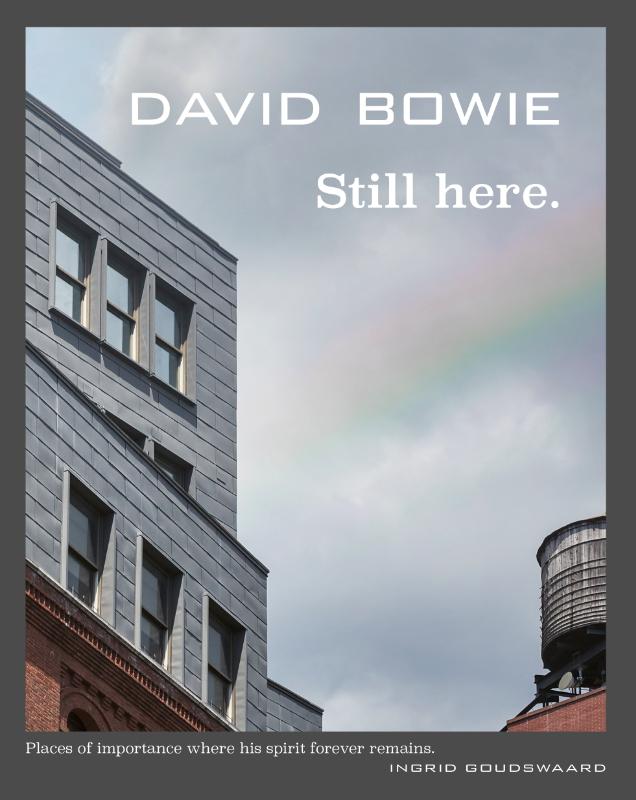 Omslag van David Bowie Still here