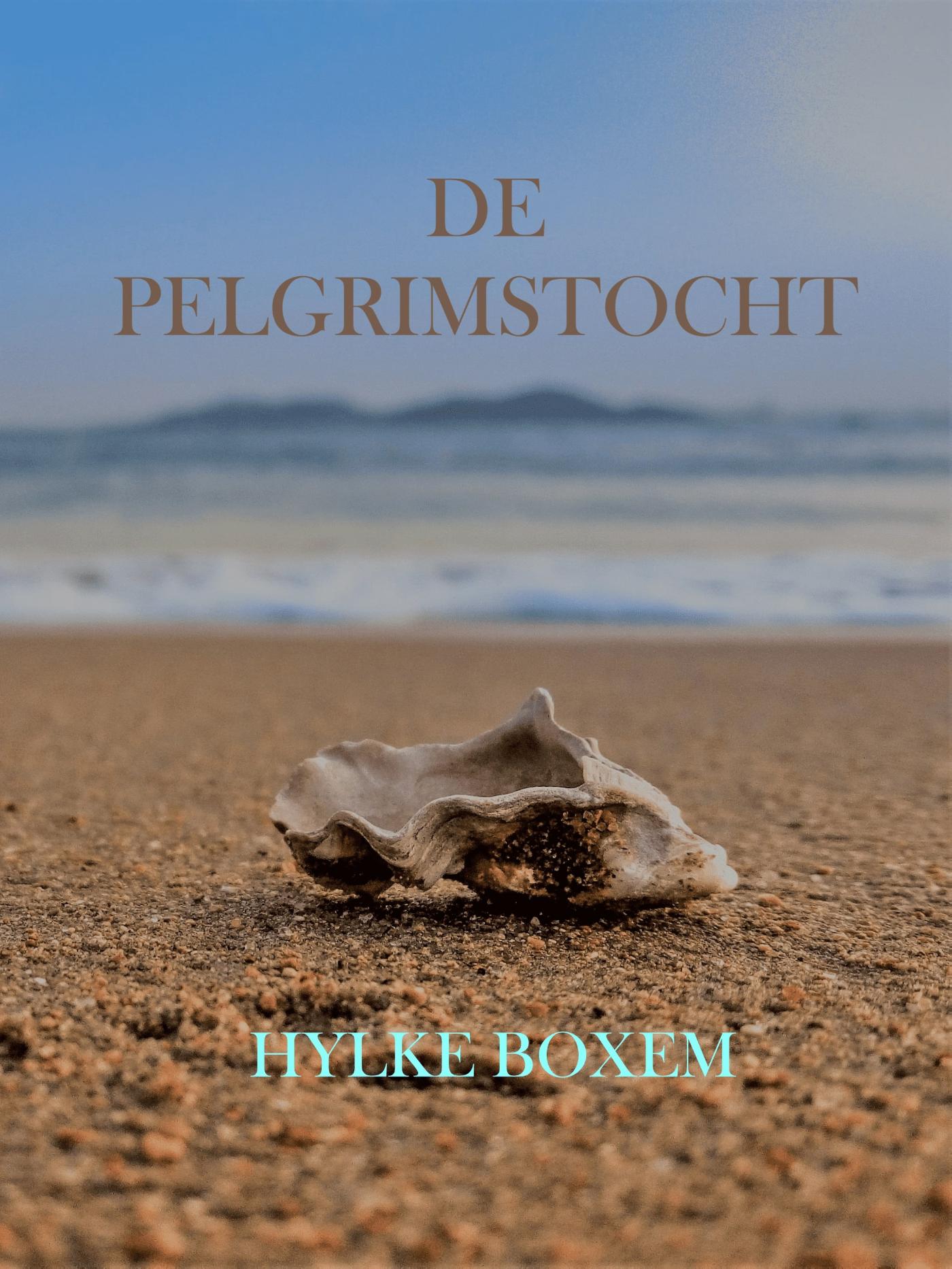 Omslag van DE PELGRIMSTOCHT