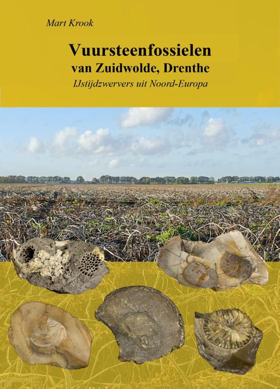 Omslag van Vuursteenfossielen van Zuidwolde, Drenthe