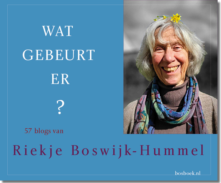 Omslag van Wat gebeurt er?